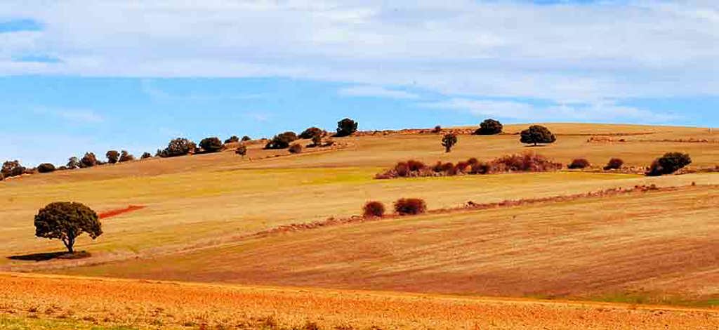 Hotels in Soria